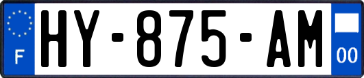 HY-875-AM