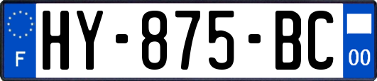 HY-875-BC