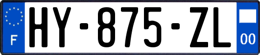 HY-875-ZL