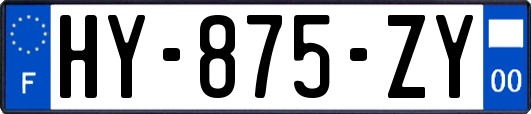 HY-875-ZY