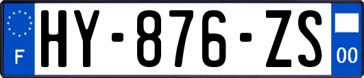 HY-876-ZS