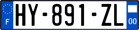 HY-891-ZL