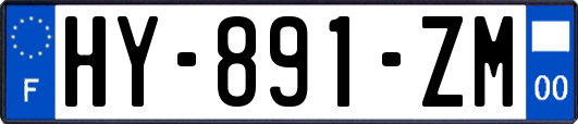 HY-891-ZM