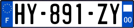 HY-891-ZY