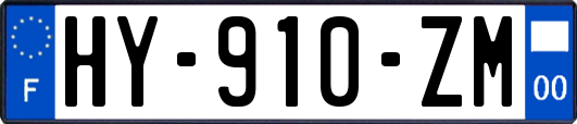 HY-910-ZM