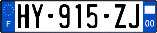 HY-915-ZJ