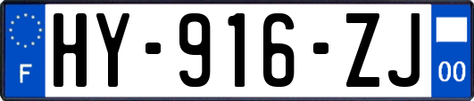 HY-916-ZJ