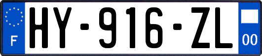 HY-916-ZL