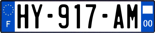 HY-917-AM