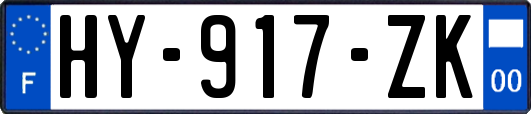 HY-917-ZK
