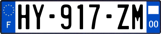 HY-917-ZM
