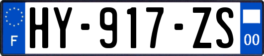 HY-917-ZS