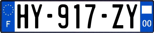 HY-917-ZY