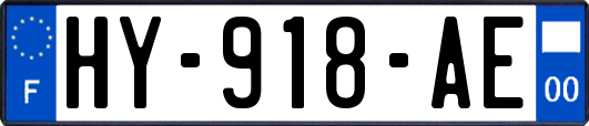 HY-918-AE