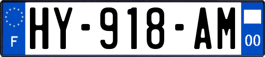 HY-918-AM