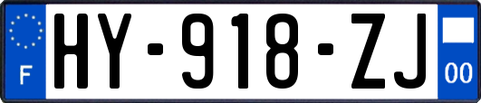 HY-918-ZJ