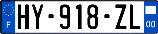 HY-918-ZL