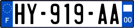 HY-919-AA
