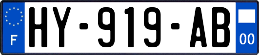 HY-919-AB