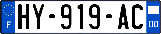 HY-919-AC