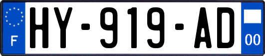 HY-919-AD