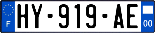 HY-919-AE