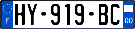 HY-919-BC