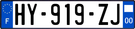 HY-919-ZJ