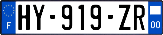 HY-919-ZR