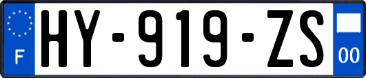 HY-919-ZS