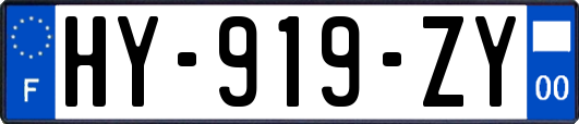 HY-919-ZY