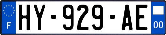 HY-929-AE