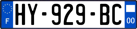 HY-929-BC