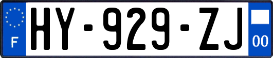 HY-929-ZJ