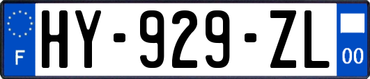 HY-929-ZL