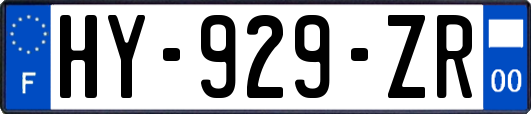 HY-929-ZR