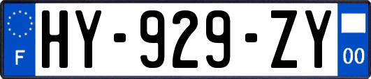 HY-929-ZY