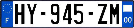 HY-945-ZM
