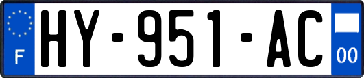 HY-951-AC