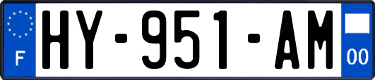 HY-951-AM