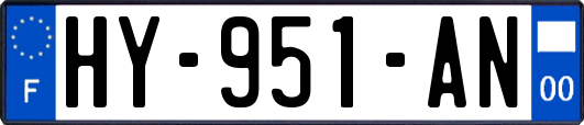 HY-951-AN
