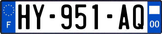 HY-951-AQ