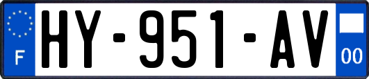 HY-951-AV