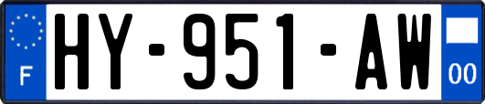 HY-951-AW