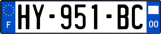 HY-951-BC