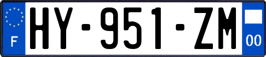 HY-951-ZM