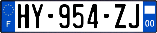 HY-954-ZJ