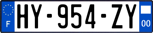 HY-954-ZY