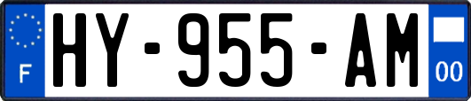 HY-955-AM