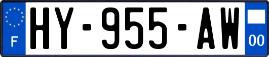 HY-955-AW